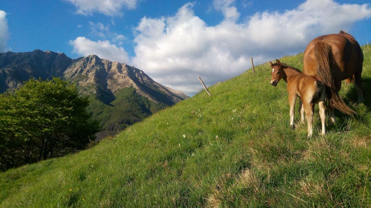 B&B La Bredia Fivizzano Bagian luar foto